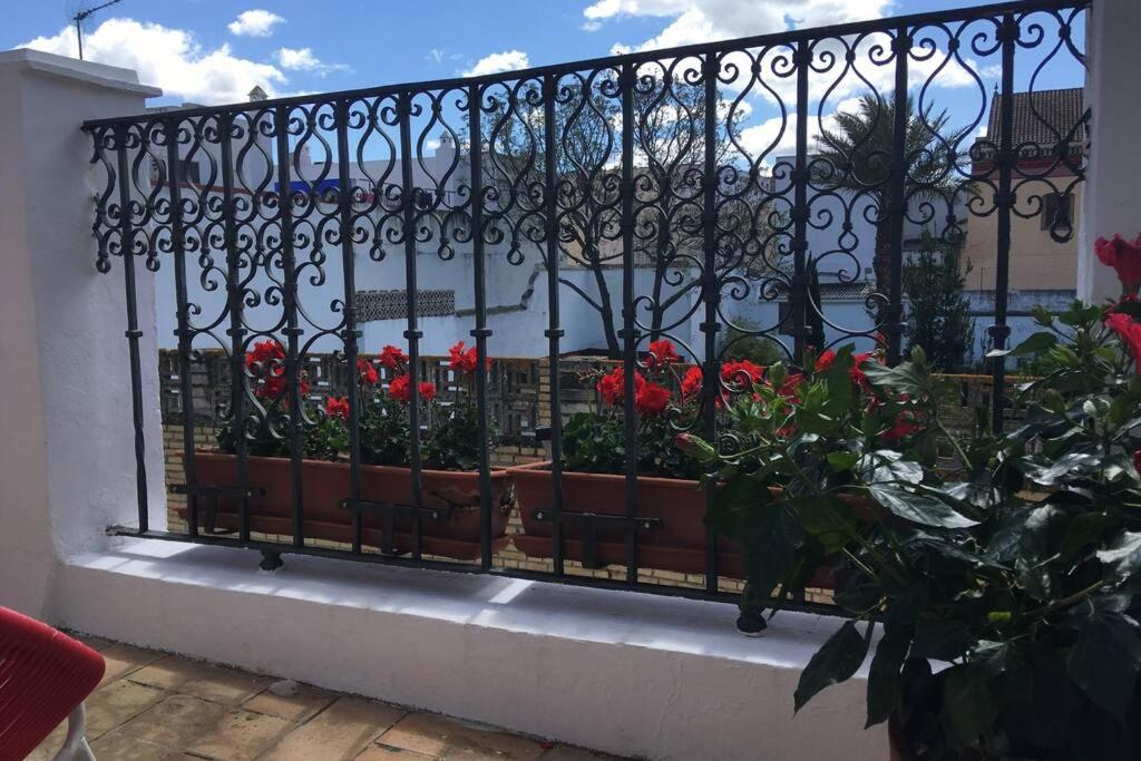 Geranium House Villa Севиля Екстериор снимка